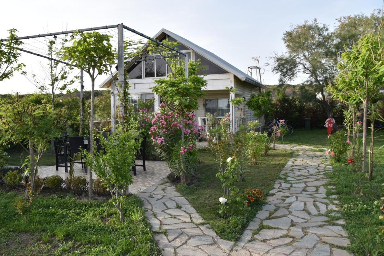 Beachfront, Tirana Guest House Velipojë Exteriér fotografie
